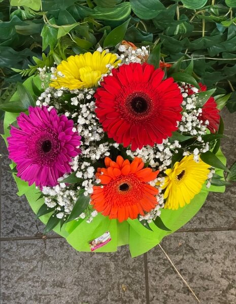 Bouquet di 7 gerbere colorate
