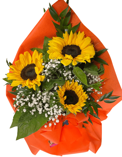 Mazzo 3 girasoli