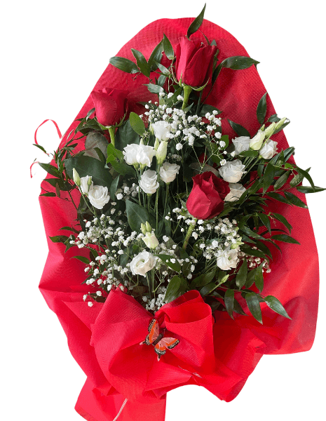 Mazzo Red&White