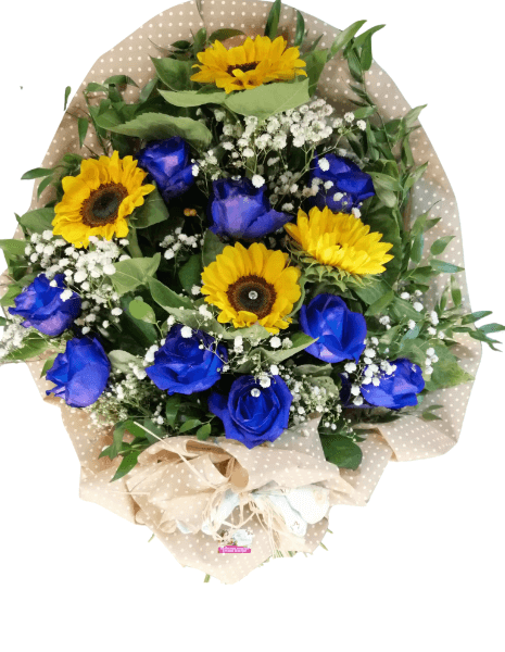 Mazzo Blu&Yellow