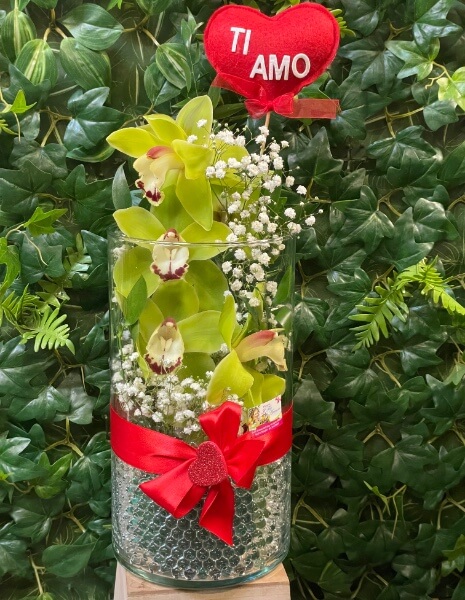 Orchidea in cilindro di vetro diversi colori