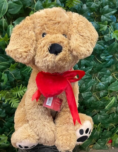 Cane Peluche con Cuore 