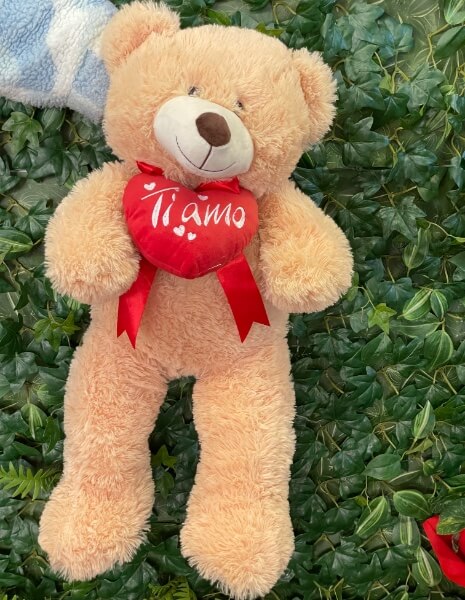 Orso Innamorato